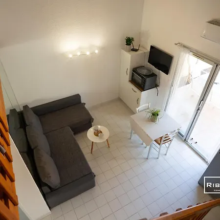 Villa Riboleys - Maison Avec Wifi Et Clim A 300m De La Vias