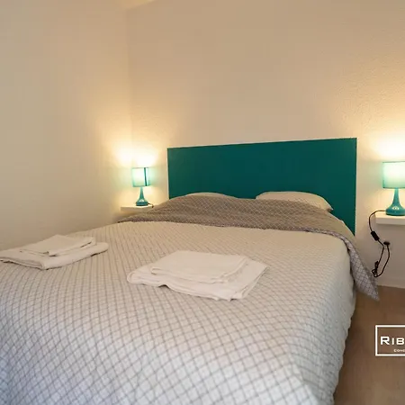 Villa Riboleys - Maison Avec Wifi Et Clim A 300m De La