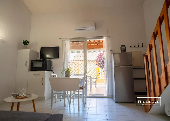 Villa Riboleys - Maison Avec Wifi Et Clim A 300m De La Vias