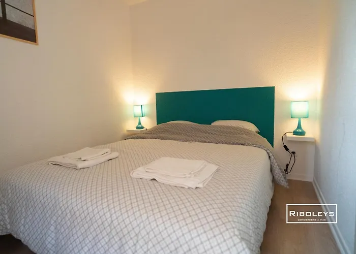 Villa Riboleys - Maison Avec Wifi Et Clim A 300m De La
