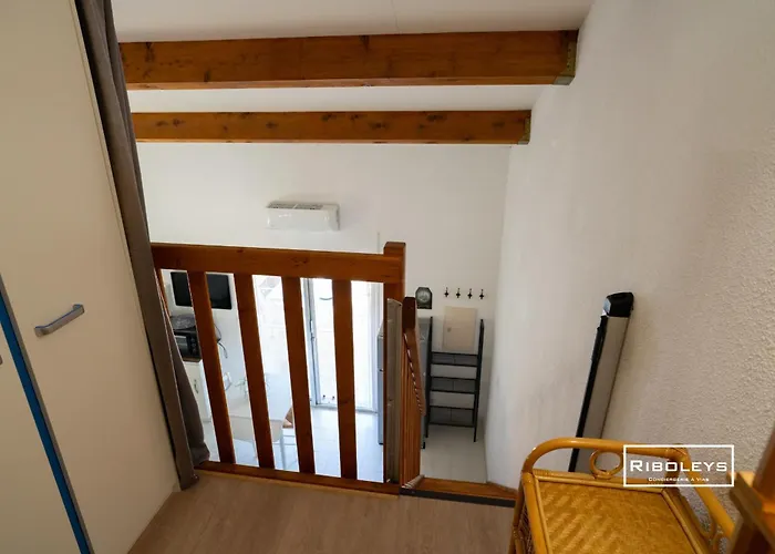 Villa Riboleys - Maison Avec Wifi Et Clim A 300m De La